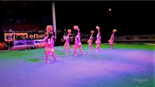Други фестивали, конкурси и участия 2011-2025