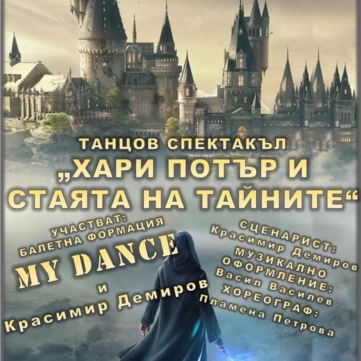 „Хари Потър и стаята на тайните" — плакат на спектакъла